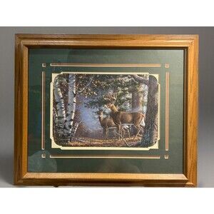 James A Meger Signed- Whitetail Deer- Custom Double Matt Framed Print signed